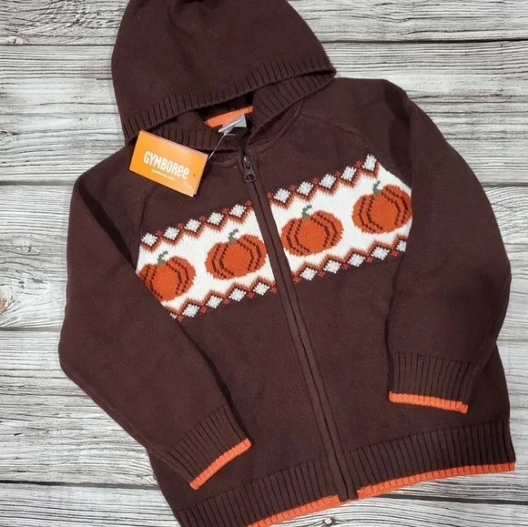 Gymboree Fall Harvest Pumpkin Sweater - Picture 8 of 8